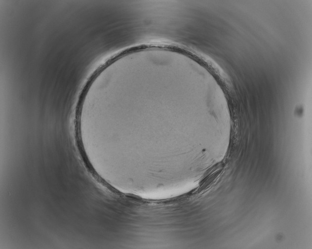 X0000116451327201001191544