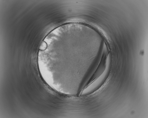X0000116451329201001191544
