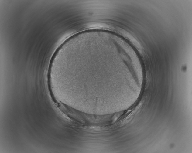 X0000116451330201001191544