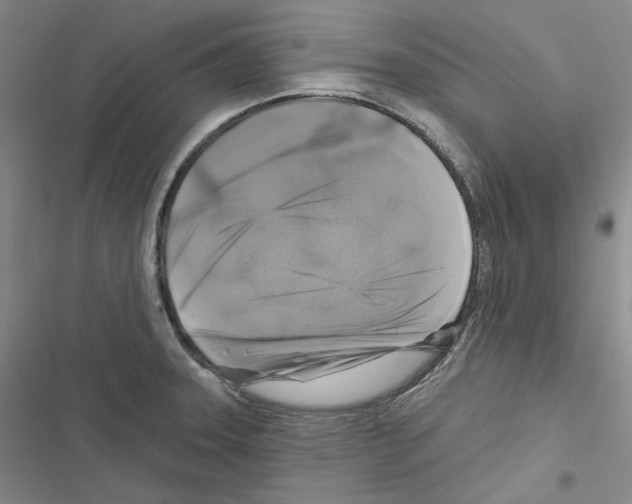 X0000116451331201001191545