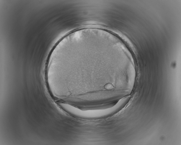 X0000116451333201001191545