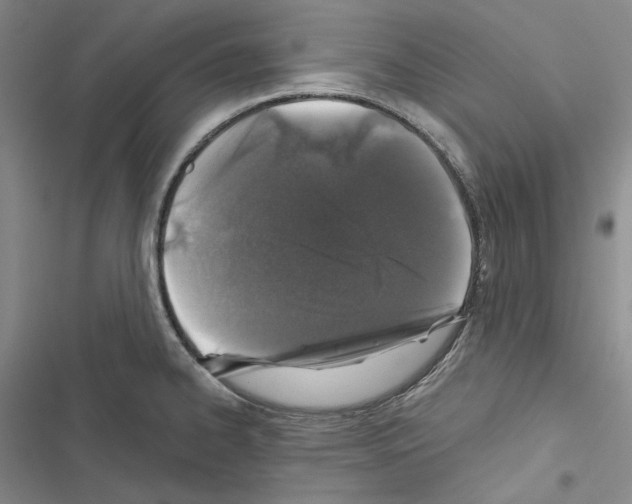 X0000116451334201001191545