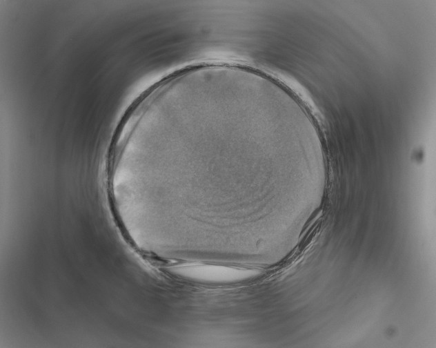 X0000116451335201001191545