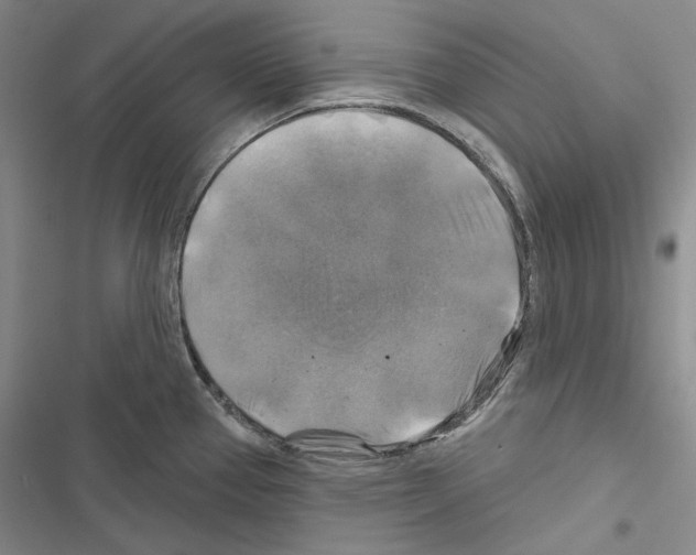 X0000116451337201001191545