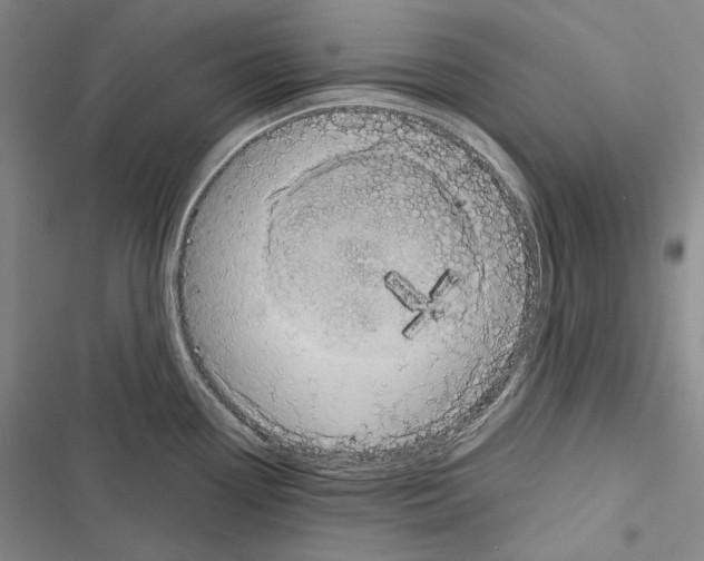 X0000116451338201001191545