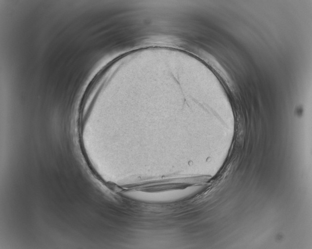 X0000116451339201001191545