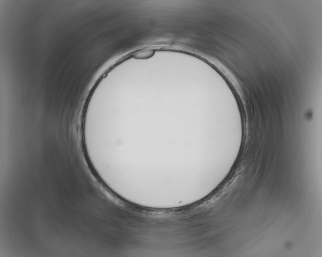 X0000116451341201001191545