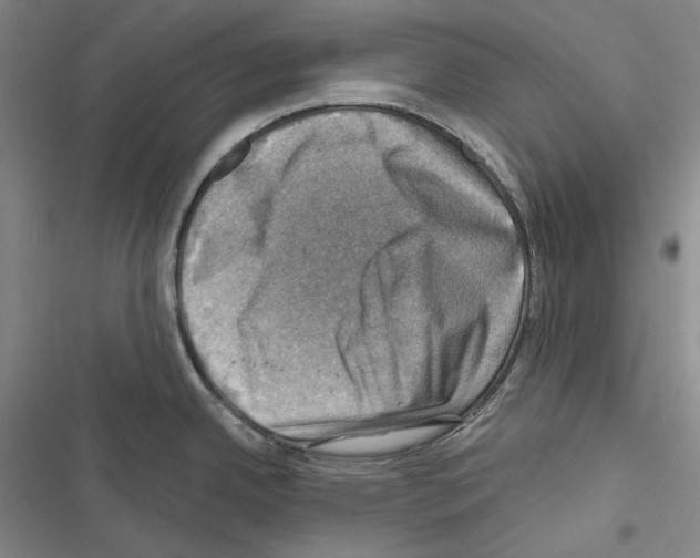 X0000116451342201001191545
