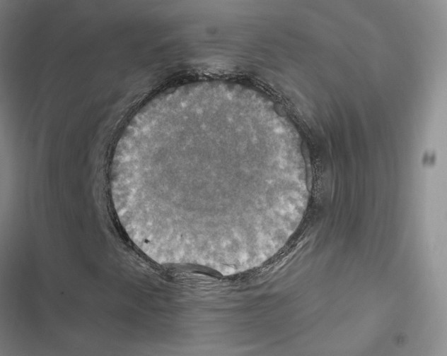 X0000116451345201001191544