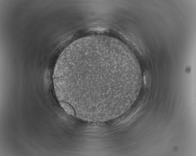 X0000116451347201001191544