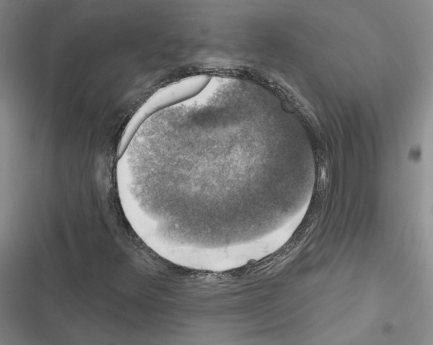 X0000116451348201001191544