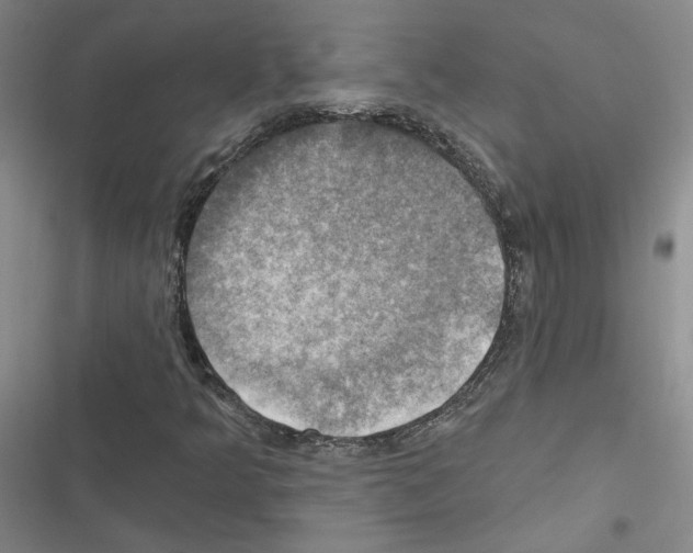 X0000116451349201001191544