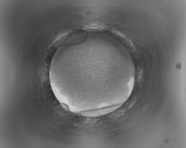 X0000116451350201001191544