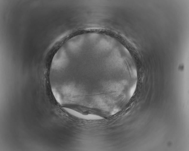X0000116451351201001191544