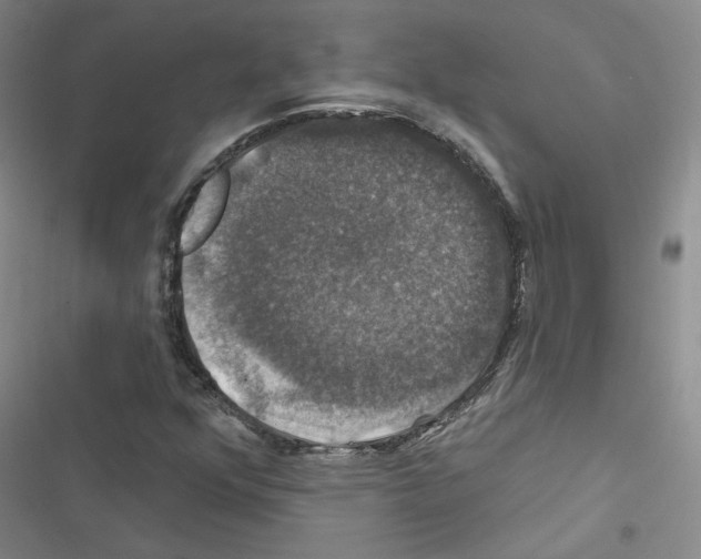 X0000116451352201001191544