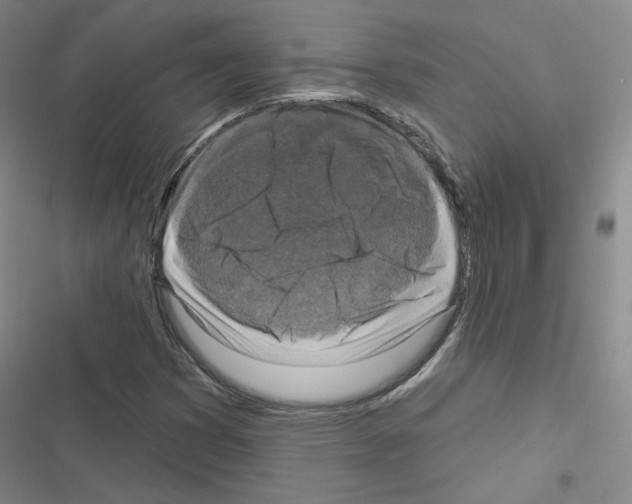X0000116451353201001191544