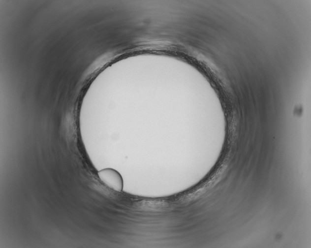X0000116451354201001191544