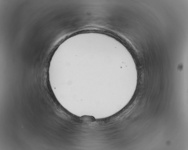 X0000116451355201001191544