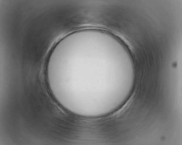 X0000116451357201001191544