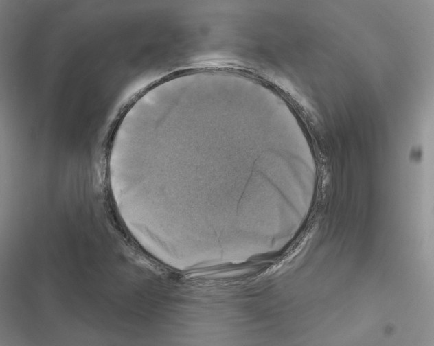 X0000116451358201001191544