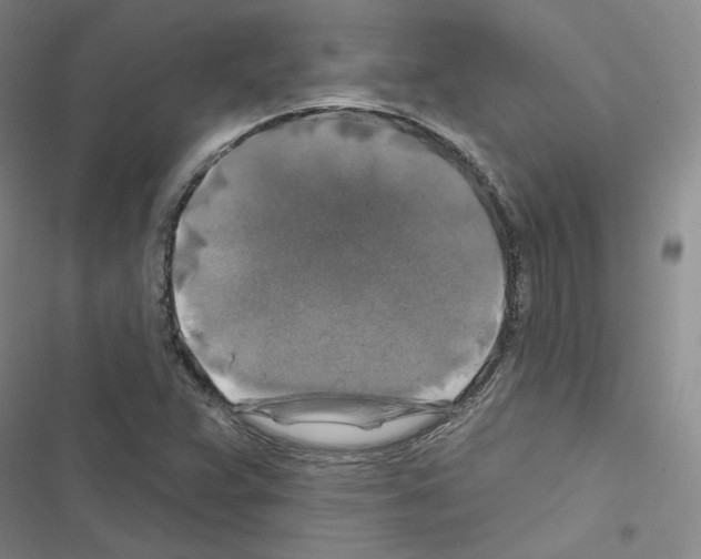 X0000116451359201001191544