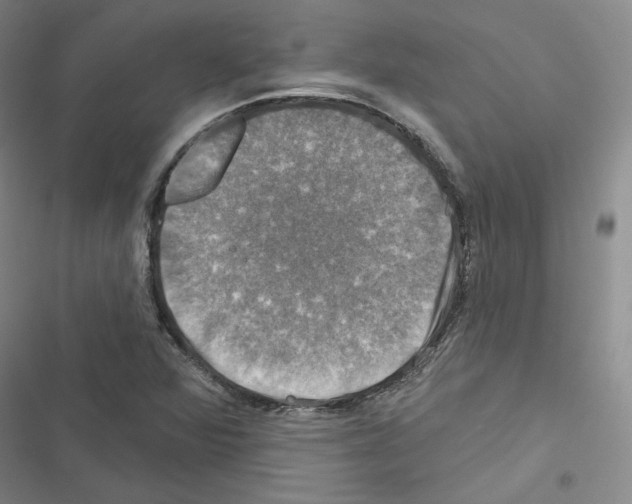 X0000116451360201001191544