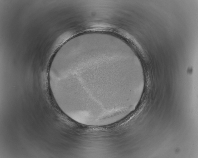 X0000116451362201001191544