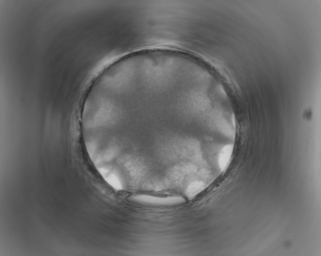 X0000116451363201001191544