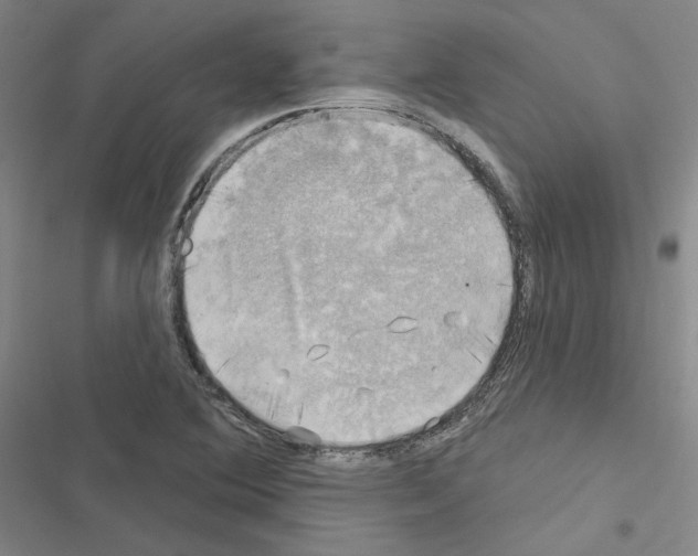 X0000116451364201001191544