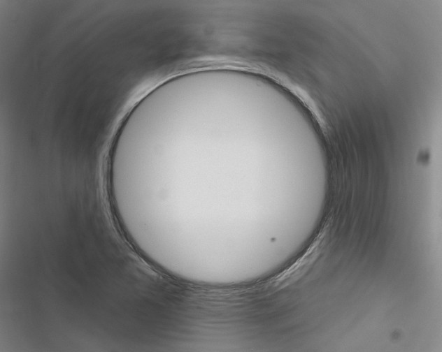 X0000116451365201001191544