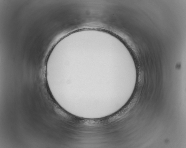 X0000116451366201001191544