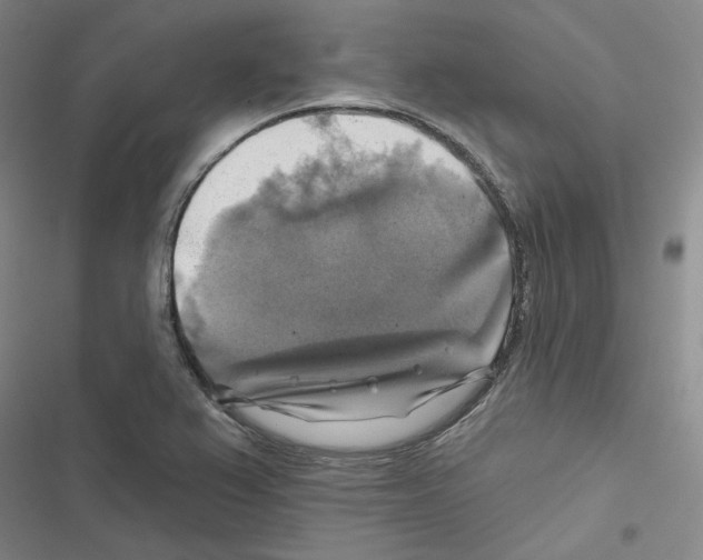 X0000116451367201001191544