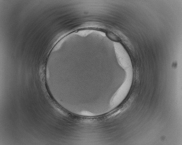 X0000116451369201001191544