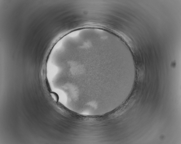 X0000116451371201001191544