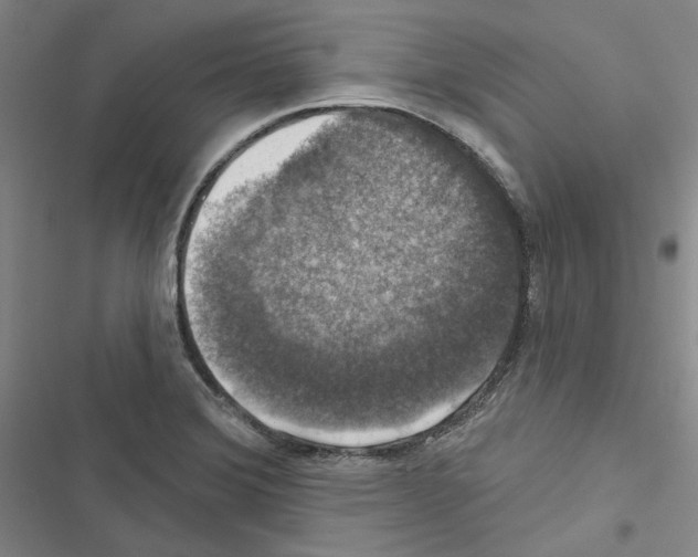 X0000116451372201001191544