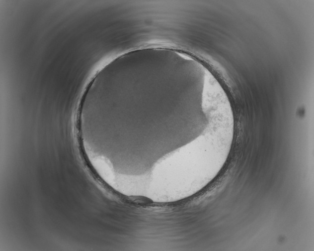 X0000116451373201001191544