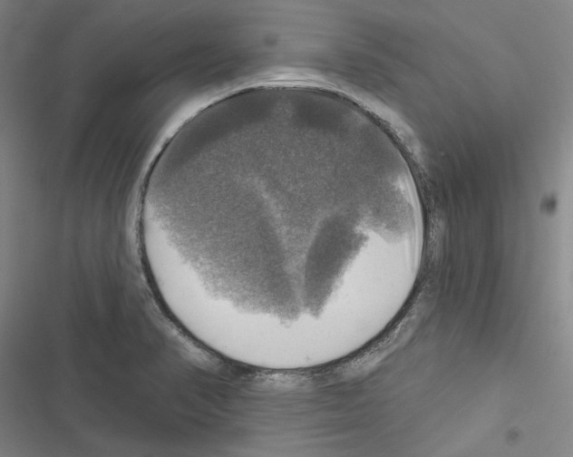 X0000116451374201001191544