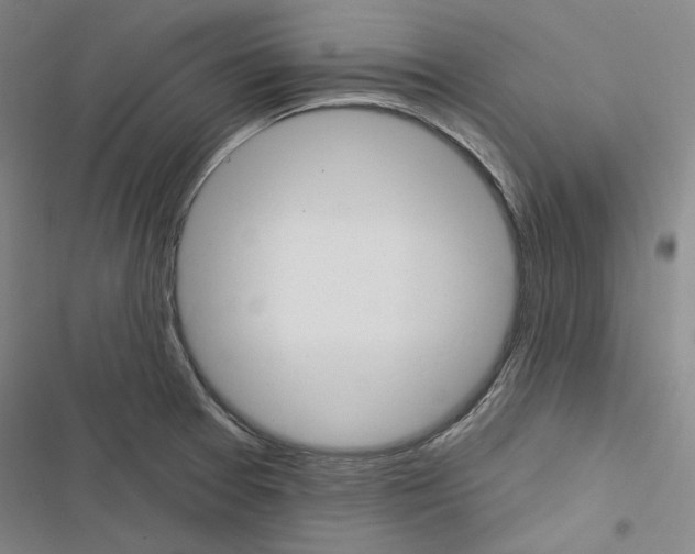 X0000116451377201001191544