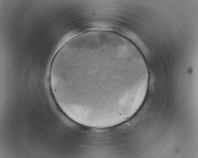 X0000116451378201001191544