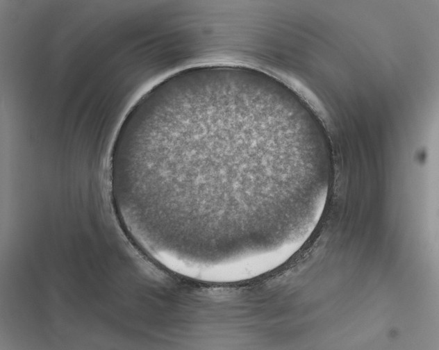 X0000116451380201001191544