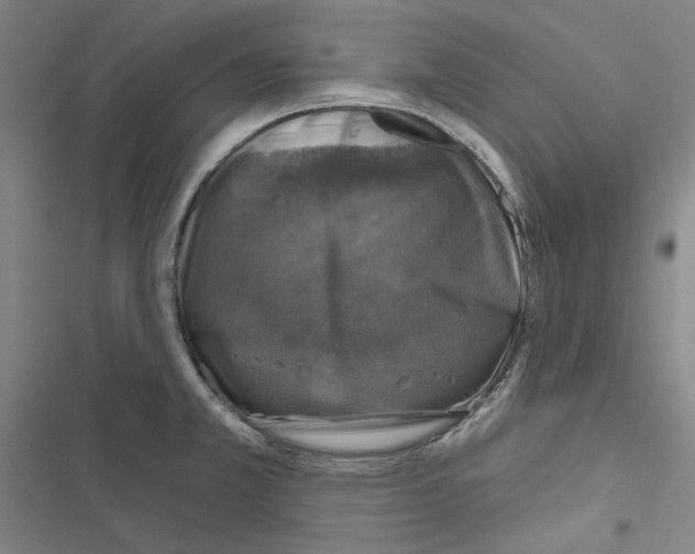 X0000116451381201001191544