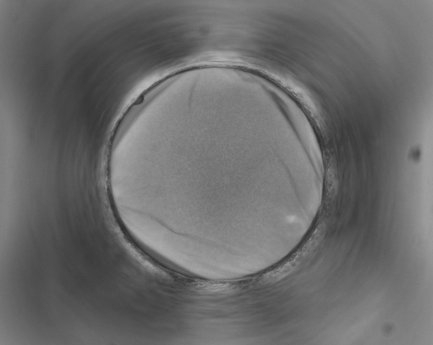 X0000116451382201001191544