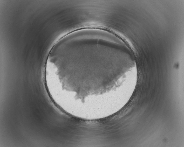 X0000116451383201001191544