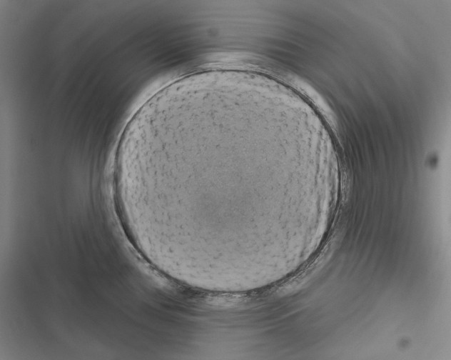 X0000116451386201001191543
