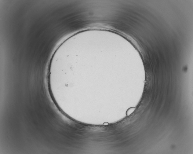 X0000116451387201001191543