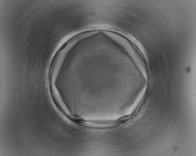 X0000116451389201001191543
