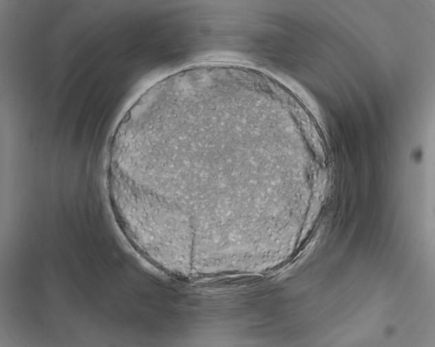 X0000116451390201001191543