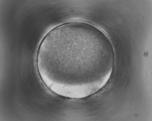 X0000116451392201001191543