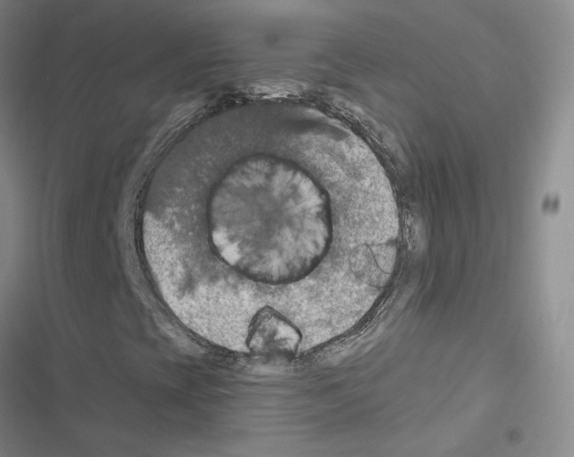 X0000116451393201001191543
