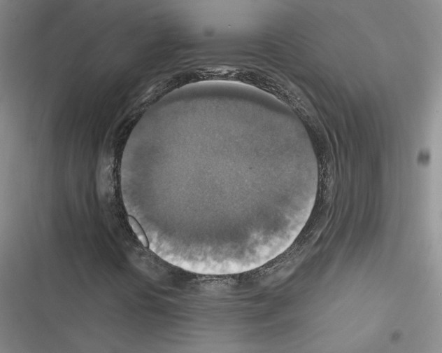 X0000116451394201001191543
